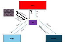 schema alimentare RedPill 2.png