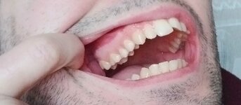 IMG_20250220_173218.jpg