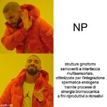 meme.jpg