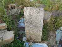 DSCN5646.JPG