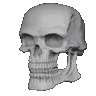 CranioRetruso
